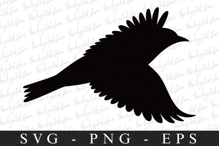 Bird Silhouette Flying Image 13
