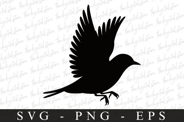 Bird Silhouette Flying Image 16