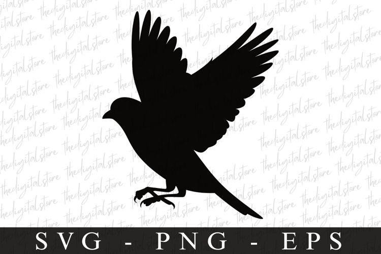 Bird Silhouette Flying Image 17