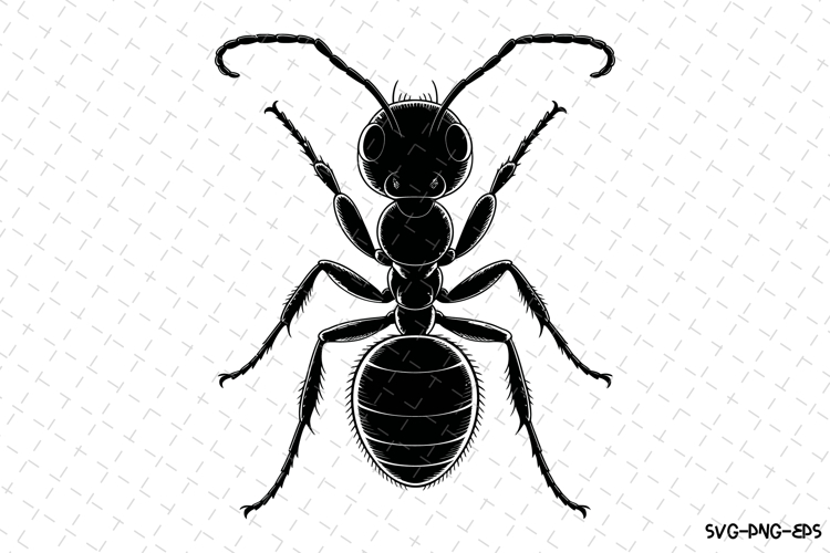 Download Svg Image 24