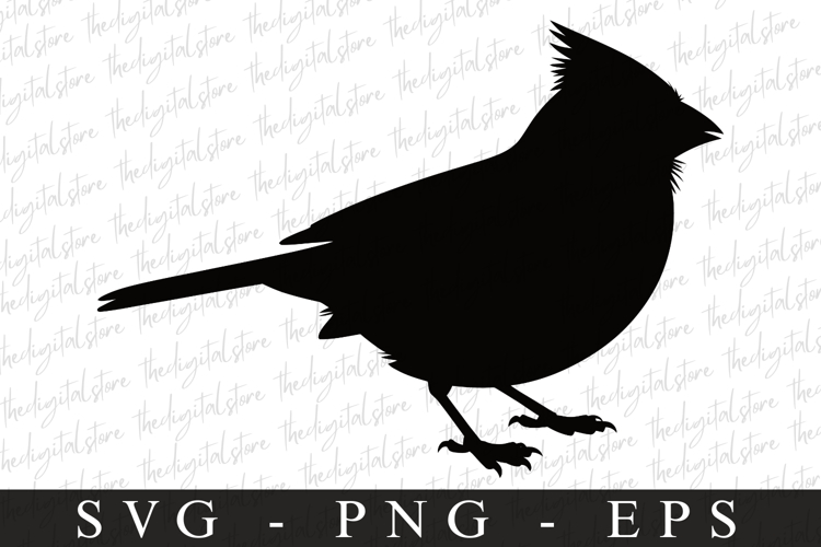 Bird Silhouette Flying Image 19