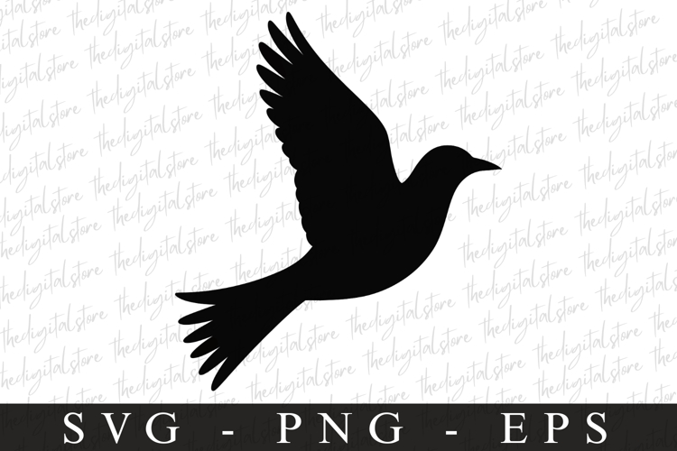 Bird Silhouette Flying Image 20