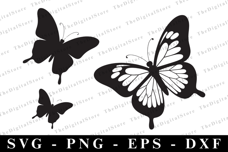 T-Shirt Designs Image 7