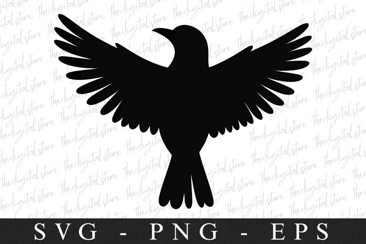 Bird Silhouette Flying Image 18