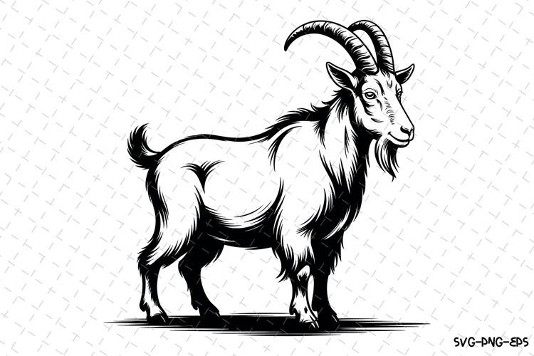 Cute Goat Pictures Image 17