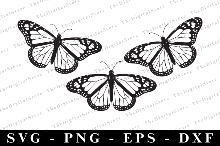 T-Shirt Designs Image 3