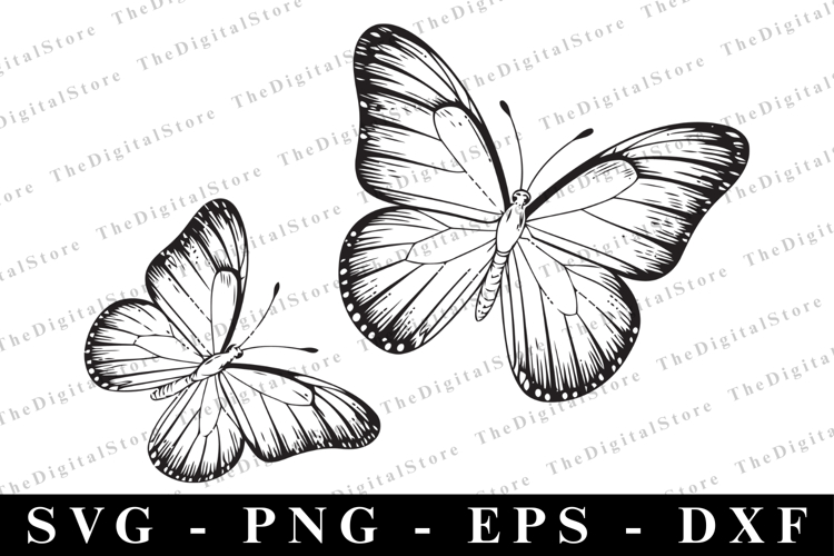 T-Shirt Designs Image 12