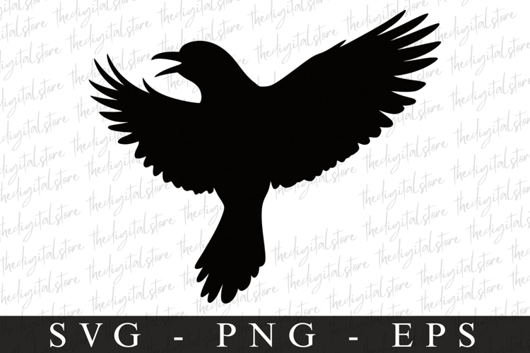 Bird Silhouette Flying Image 23