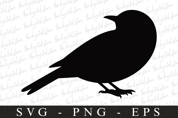 Bird Silhouette Flying Image 2