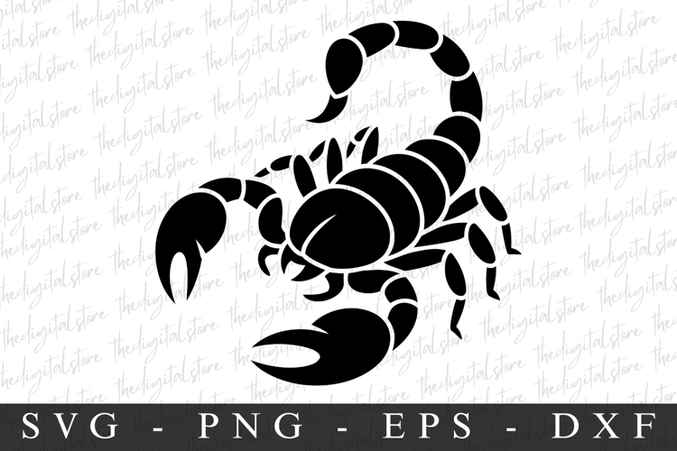 Scorpion SVG | SVG Cut files | Cricut