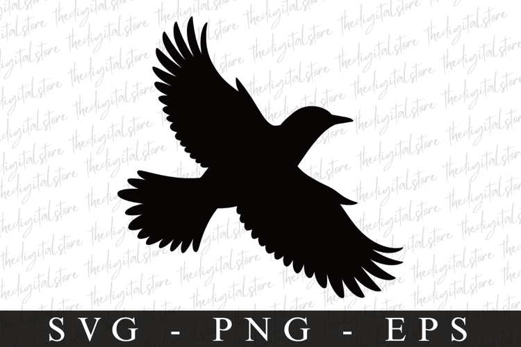 Bird Silhouette Flying Image 21