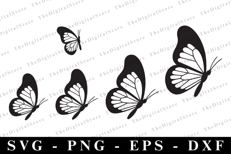 T-Shirt Designs Image 13