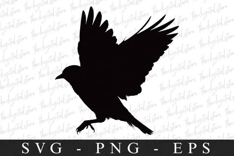 Bird Silhouette Flying Image 24