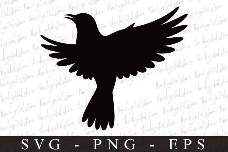 Bird Silhouette Flying Image 3