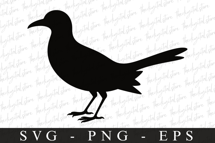 Bird Silhouette Flying Image 5