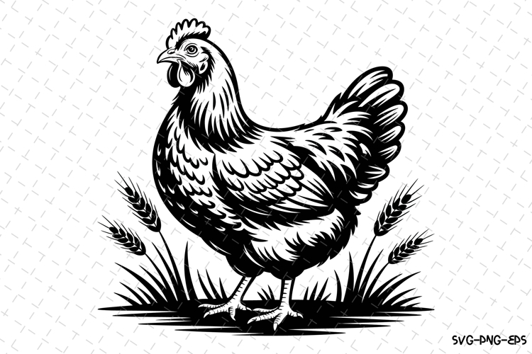 Cute Chicken SVGs Image 4
