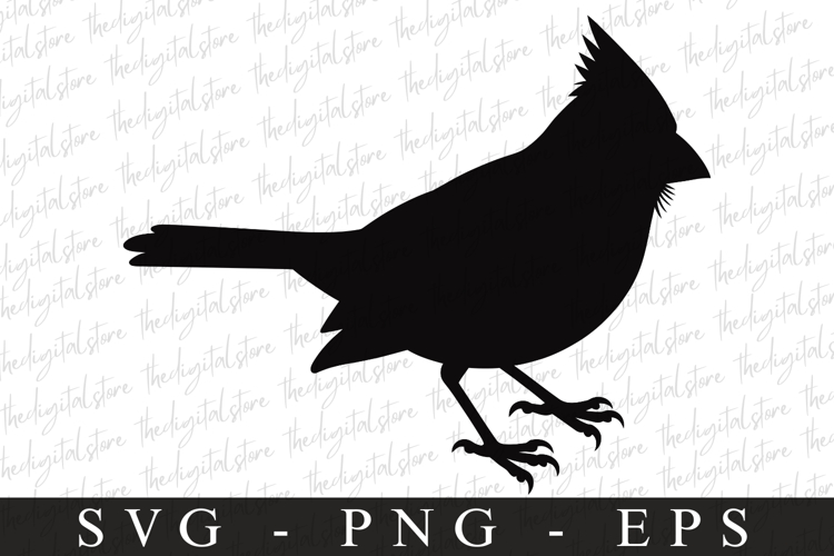 Bird Silhouette Flying Image 7