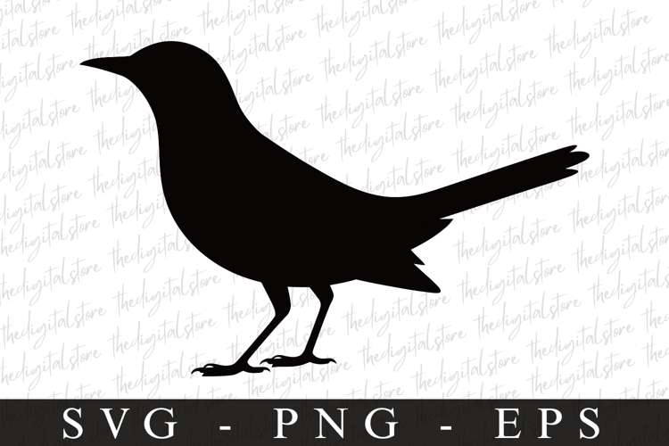Bird Silhouette Flying Image 9