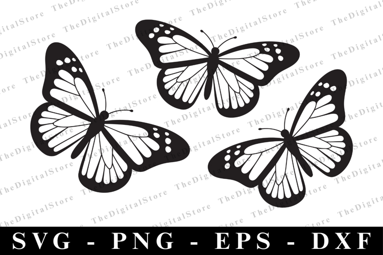 T-Shirt Designs Image 13