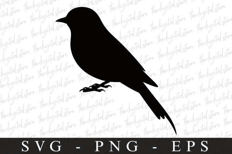 Bird Silhouette Flying Image 5