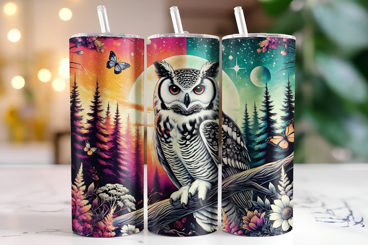 Owl Clipart Image 20