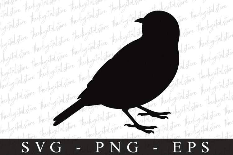 Bird Silhouette Flying Image 11