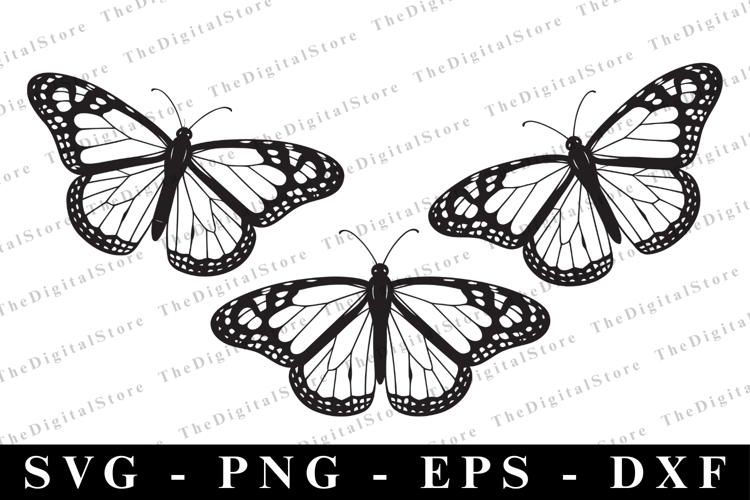 T-Shirt Designs Image 14