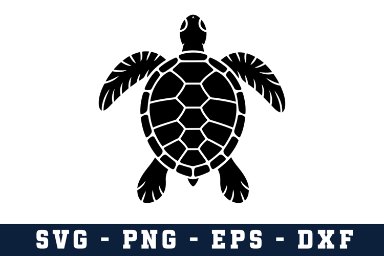 Cute Turtle Svg Image 19