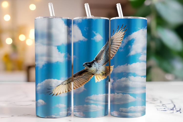Eagle Clipart Image 20