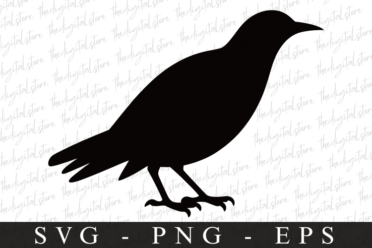 Bird Svg, Flying Bird, Files for Cricut