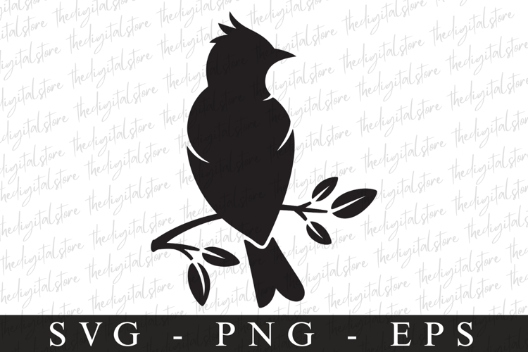 Bird Silhouette Flying Image 17