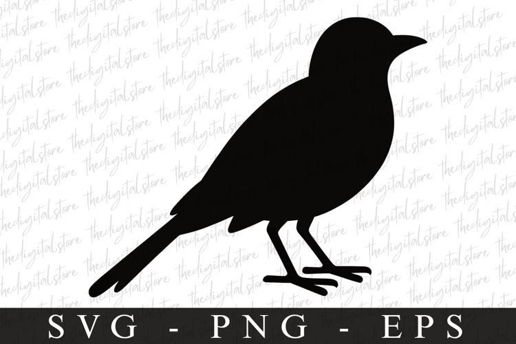 Bird Silhouette Flying Image 16