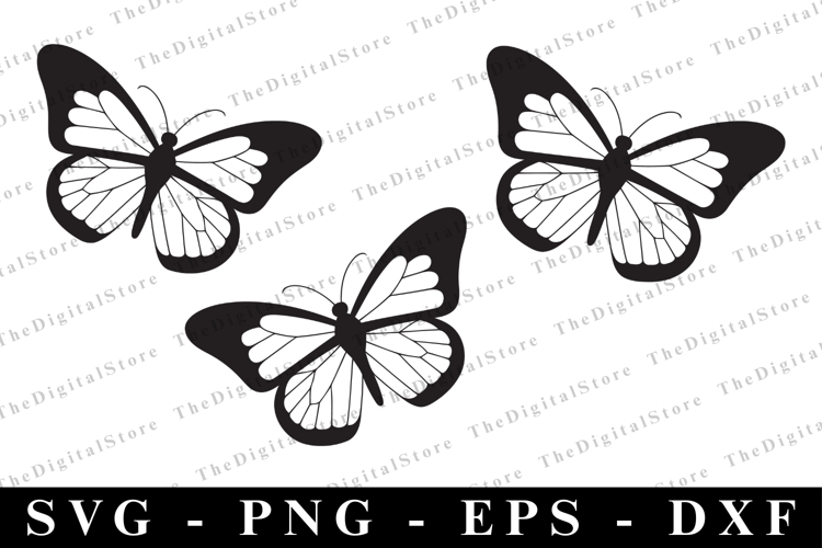T-Shirt Designs Image 5