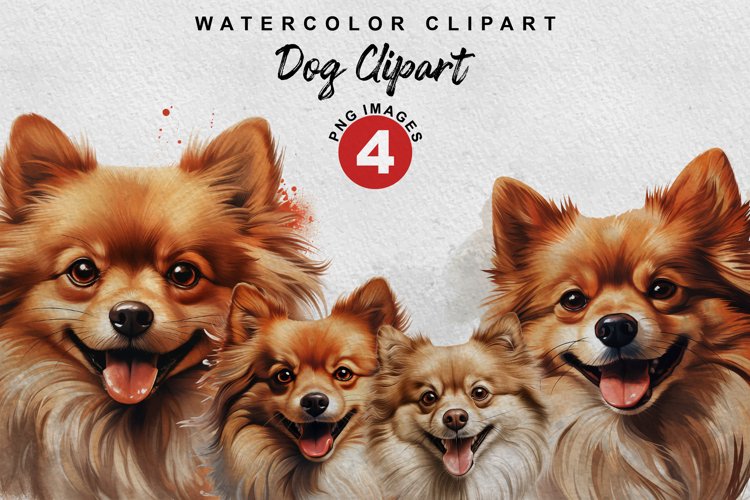 Pomeranian Clipart Image 19