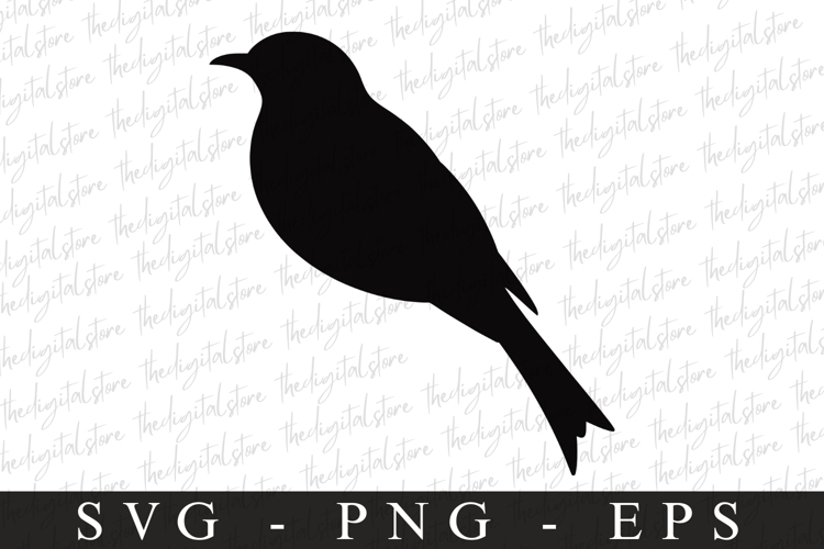 Bird Silhouette Flying Image 18