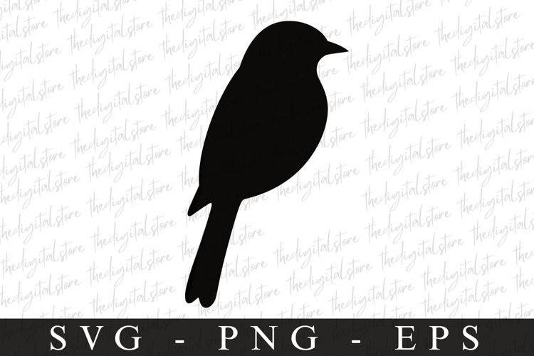 Bird Silhouette Flying Image 19