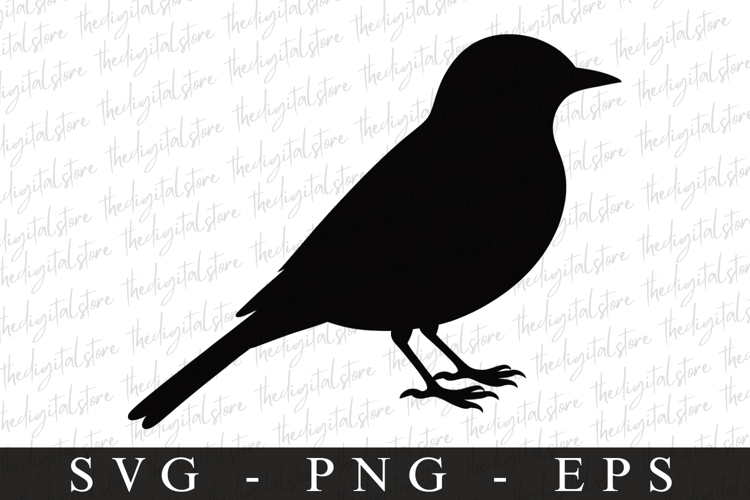 Bird Silhouette Flying Image 20