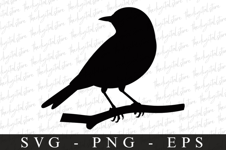 Bird Silhouette Flying Image 21