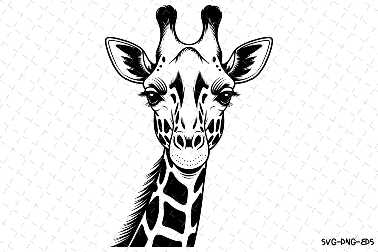 Giraffe Silhouette Image 16