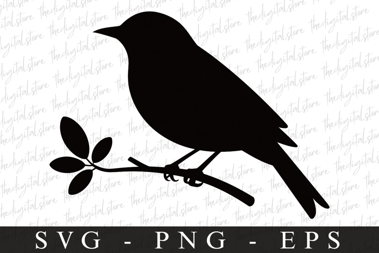 Bird Silhouette Flying