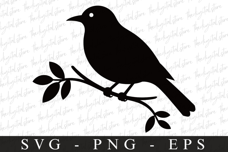 Bird Silhouette Flying Image 3