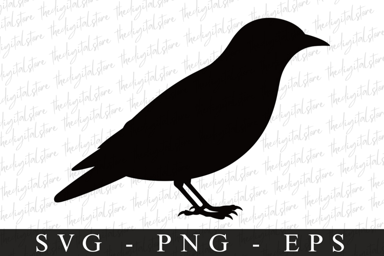 Bird Silhouette Flying Image 24
