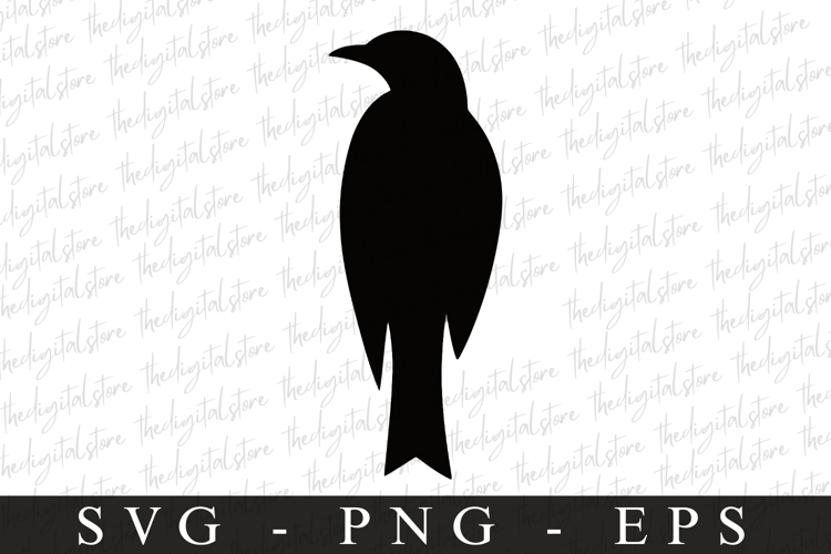Bird Silhouette Flying Image 8