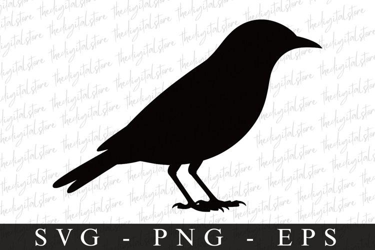 Bird Silhouette Flying Image 20