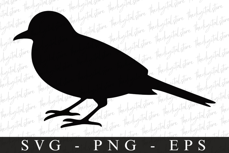 Bird Silhouette Flying Image 23