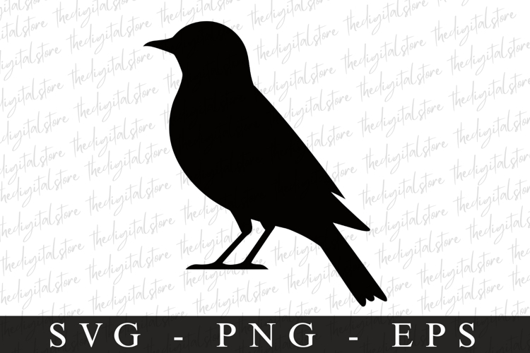 Bird Silhouette Flying Image 4