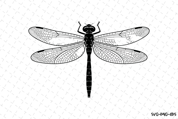 Dragonfly Silhouette Image 4