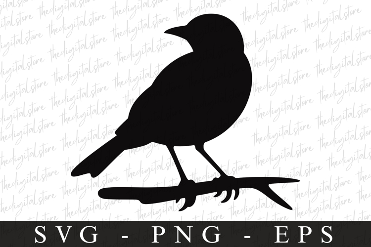 Bird Silhouette Flying Image 24