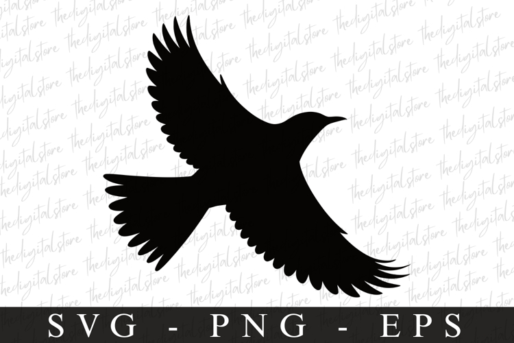 Bird Silhouette Flying Image 6