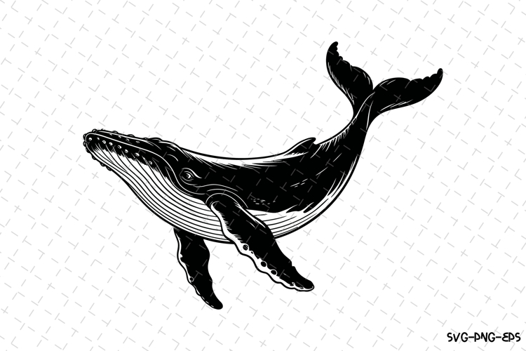 Whale Silhouette Image 18